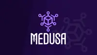 Medusa – the Only Commercial Available SaaS Platform for Federated Applications, photo 1 - valor-software.com Medusa – the Only Commercial Available SaaS Platform for Federated Applications, photo 1 - Valor Software