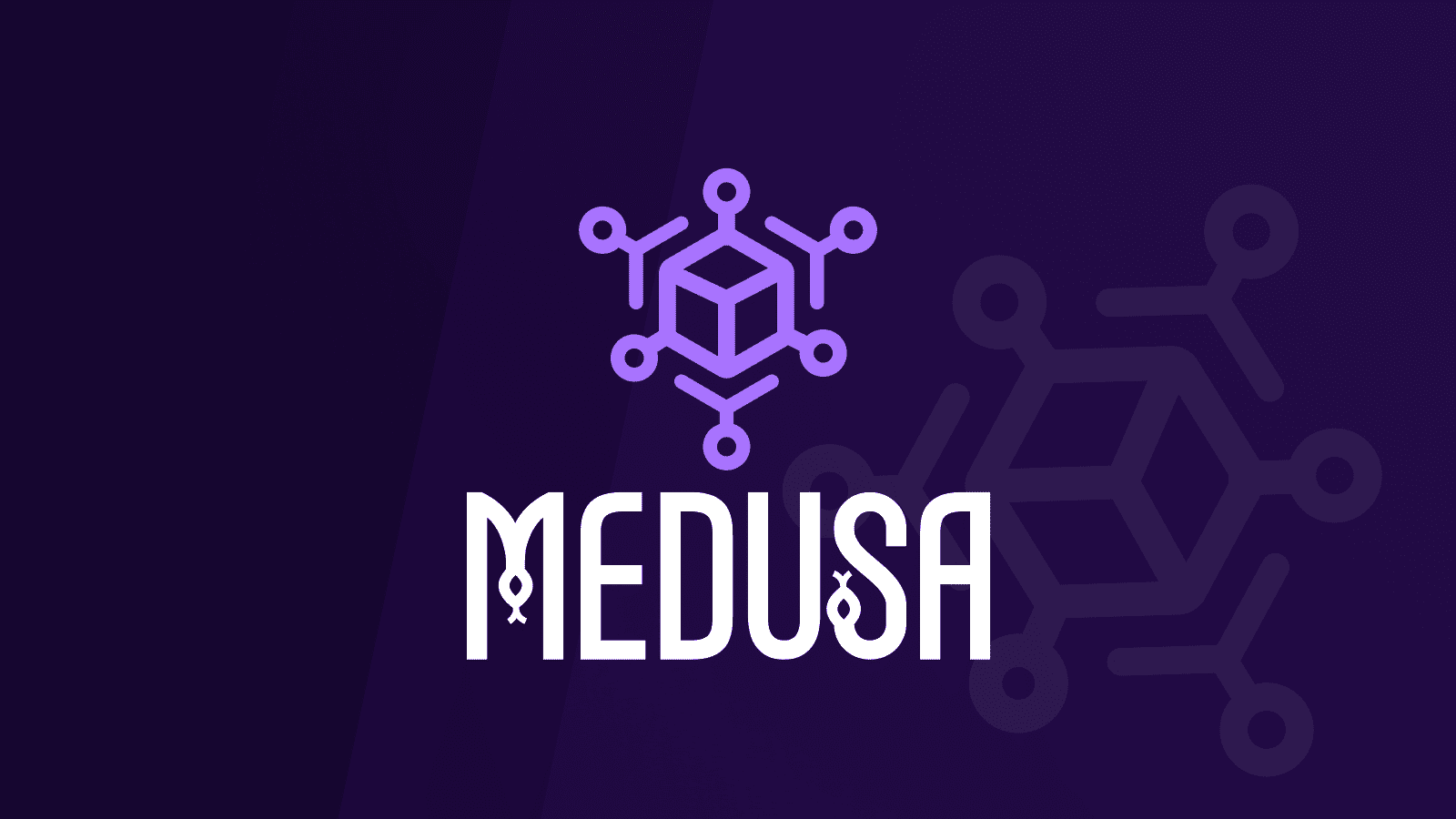 Medusa – the Only Commercial Available SaaS Platform for Federated Applications, photo 2 - Valor Software